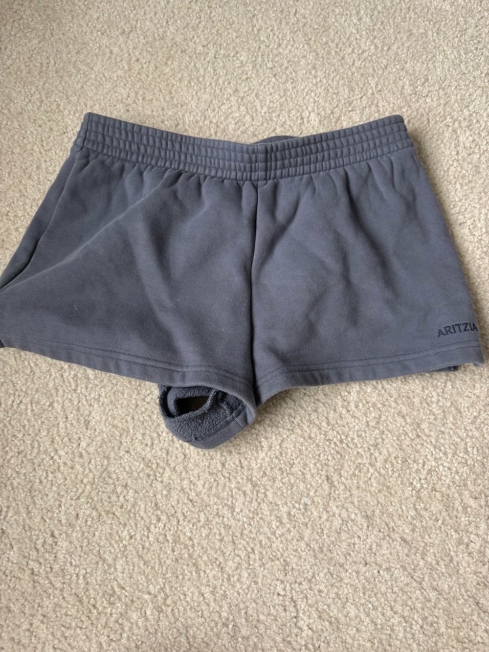 Aritzia Women's Fleece Sweat Shorts